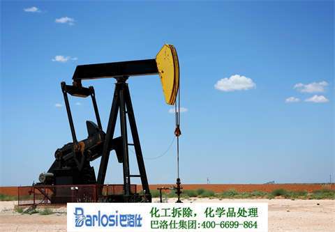環(huán)保蘭白：從生態(tài)到經(jīng)濟，探索可持續(xù)發(fā)展之路